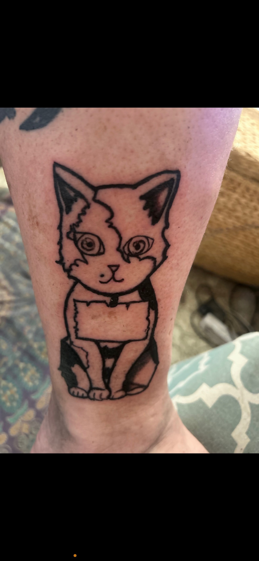 Kitten — Leg